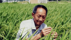 <strong>2024中美农产物进出口对比:美国进口18</strong> <strong>2024中美农产物进出口对比:美国进口18</strong>